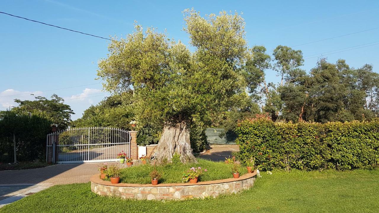 Casal Sant'Elena Bed and Breakfast Altopascio Exterior foto